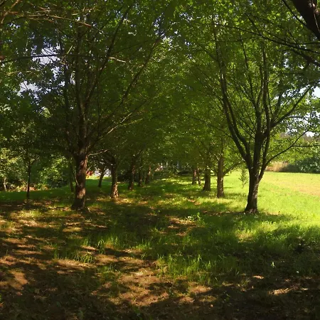 Vakantiehuis El Olivo By Interhome *